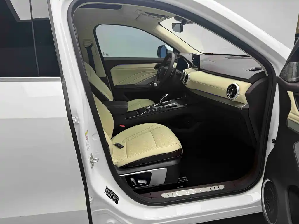 WEY VV6