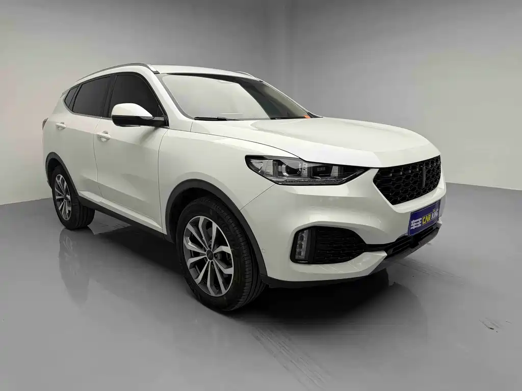 WEY VV6