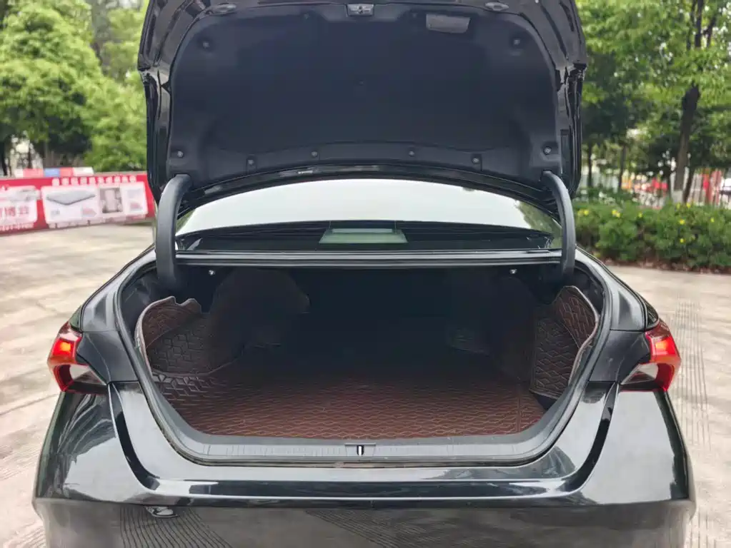 Avalon 2019 2.0L Luxury Edition China VI