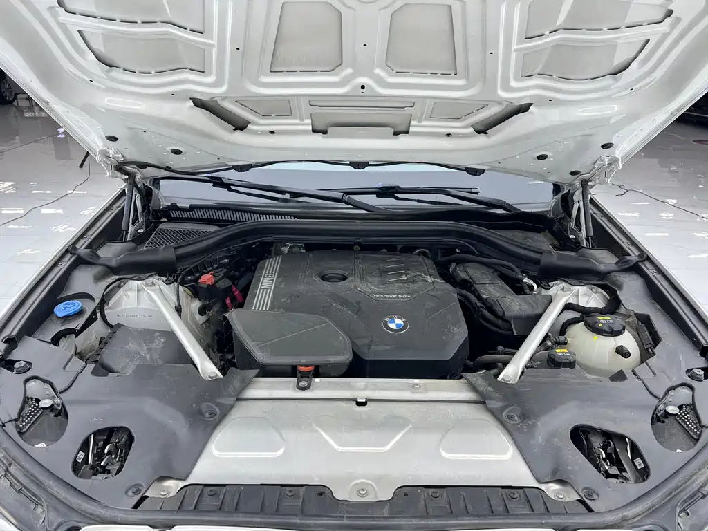 BMW X3 2022 xDrive30i Leading Edition M Night Shadow Package