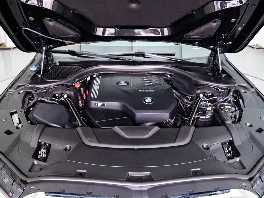 BMW 7 Series 2021 730Li Luxury Package