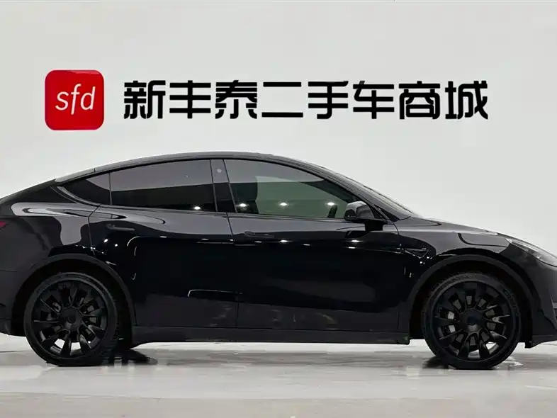 Model Y 2021 Standard Range Rear-Wheel Drive
