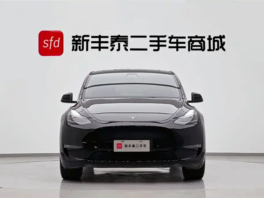 Model Y 2021 Standard Range Rear-Wheel Drive