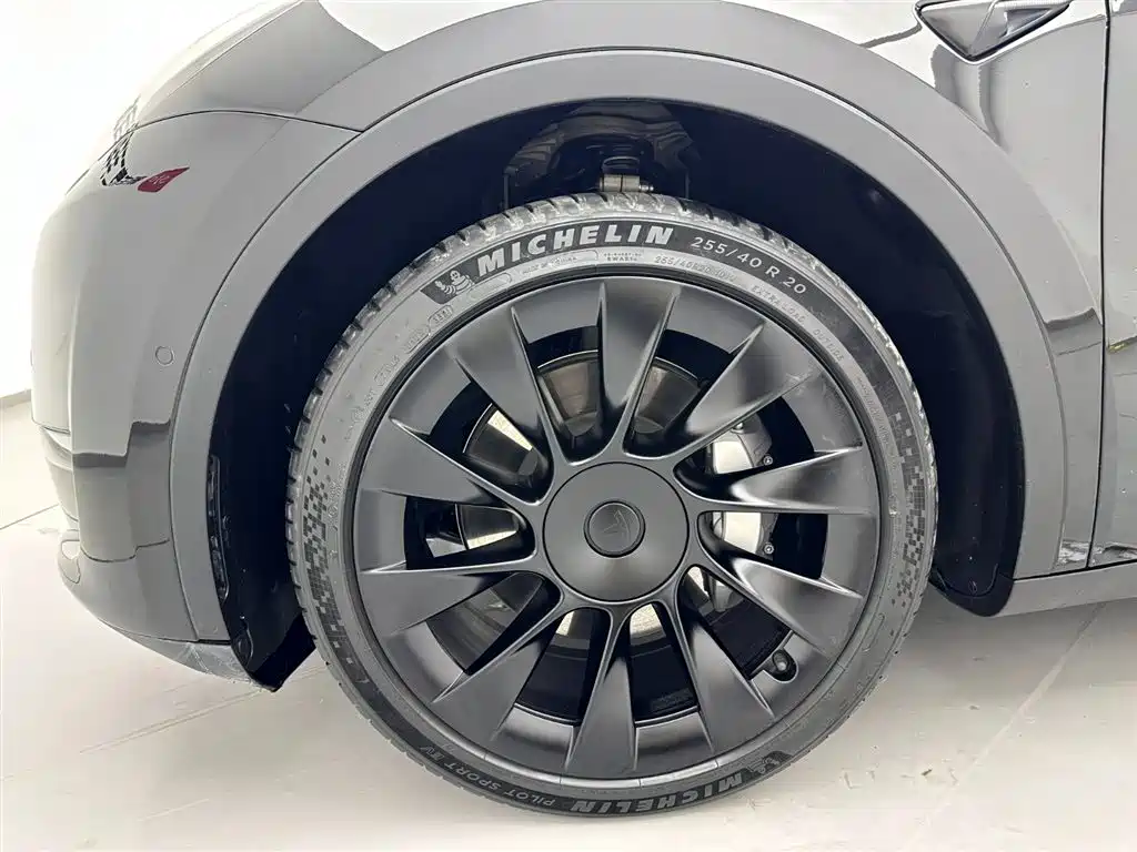 Model Y 2021 Standard Range Rear-Wheel Drive