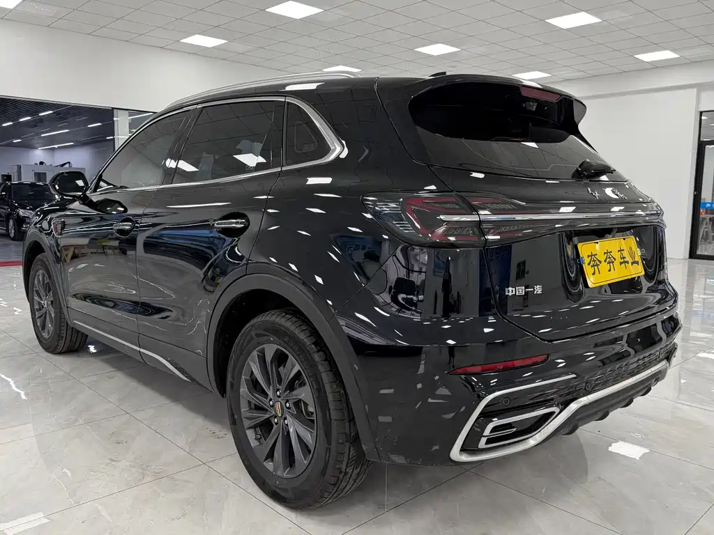 Hongqi HS5 2025 2.0T FWD Qi Xiang Pro Edition