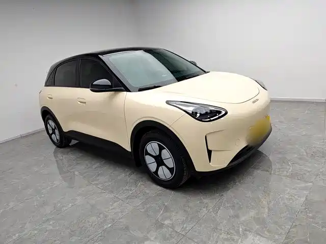 Geely Xingyuan 2025 310km Youth Edition