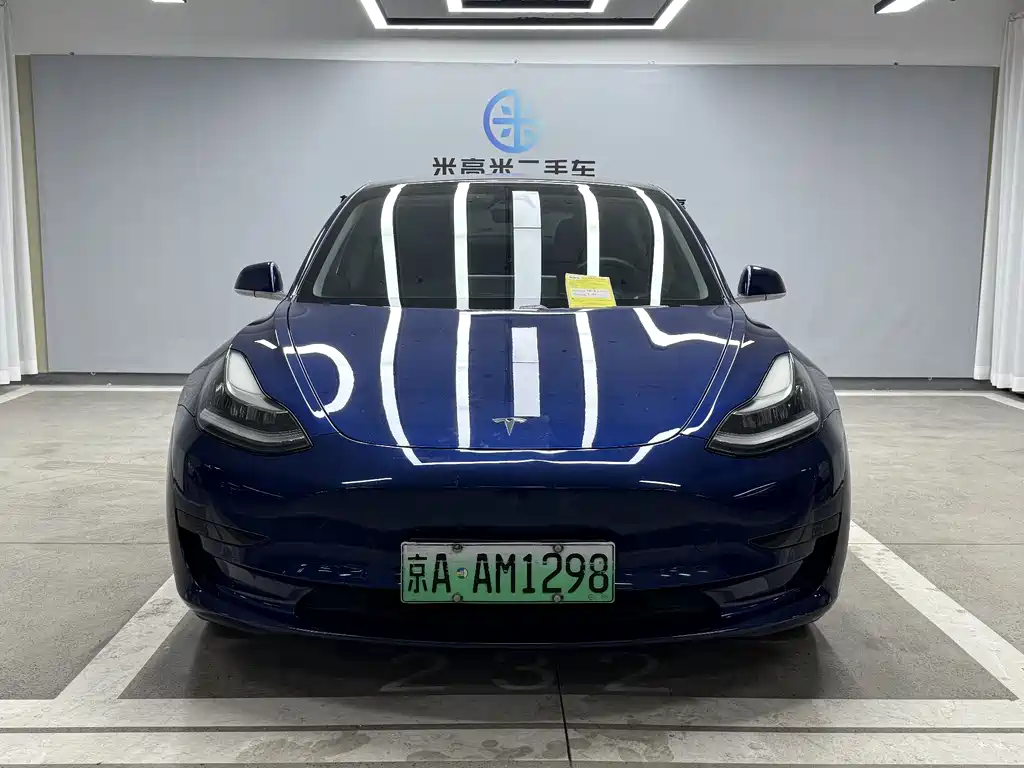 Tesla Model 3 2020 Standard Range Plus RWD