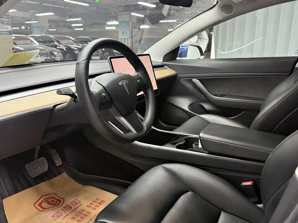 Tesla Model 3 2020 Standard Range Plus RWD