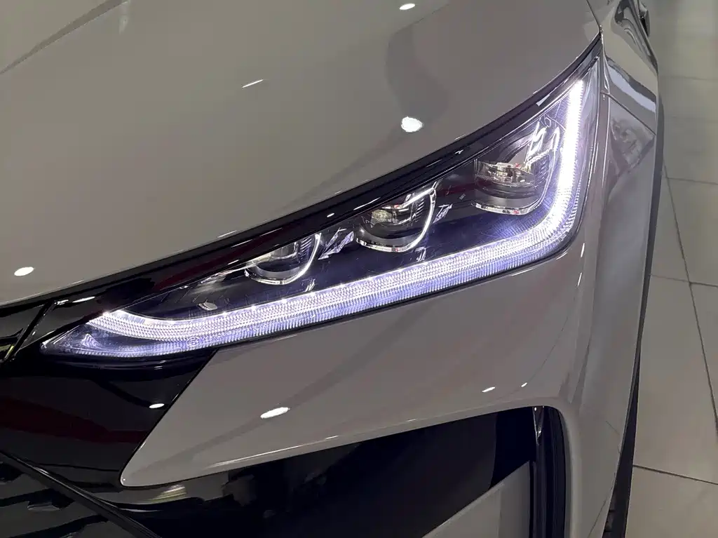 Tang New Energy 2025 Intelligent Driving Edition DM-i 115KM Flagship