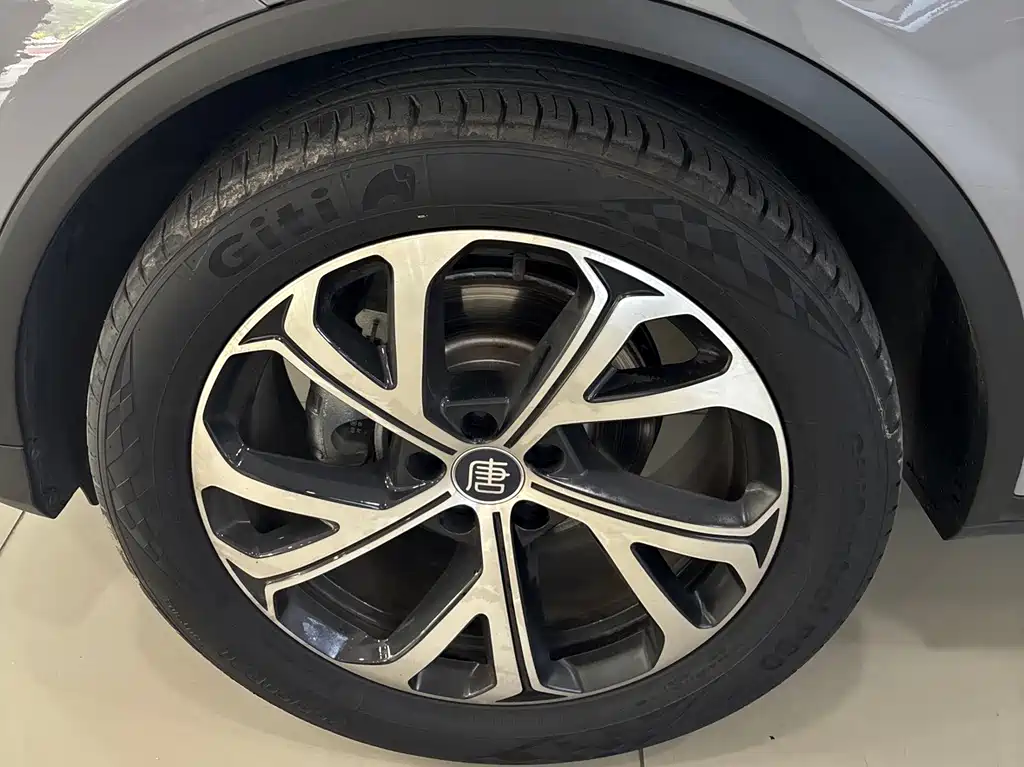 Tang New Energy 2025 Intelligent Driving Edition DM-i 115KM Flagship