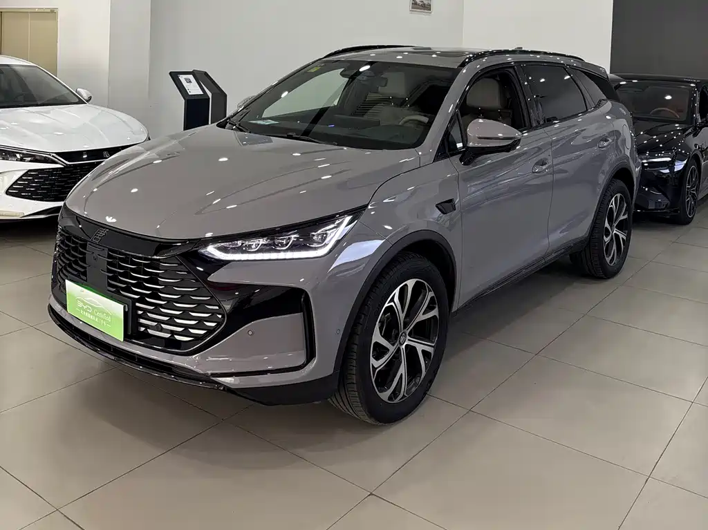 Tang New Energy 2025 Intelligent Driving Edition DM-i 115KM Flagship