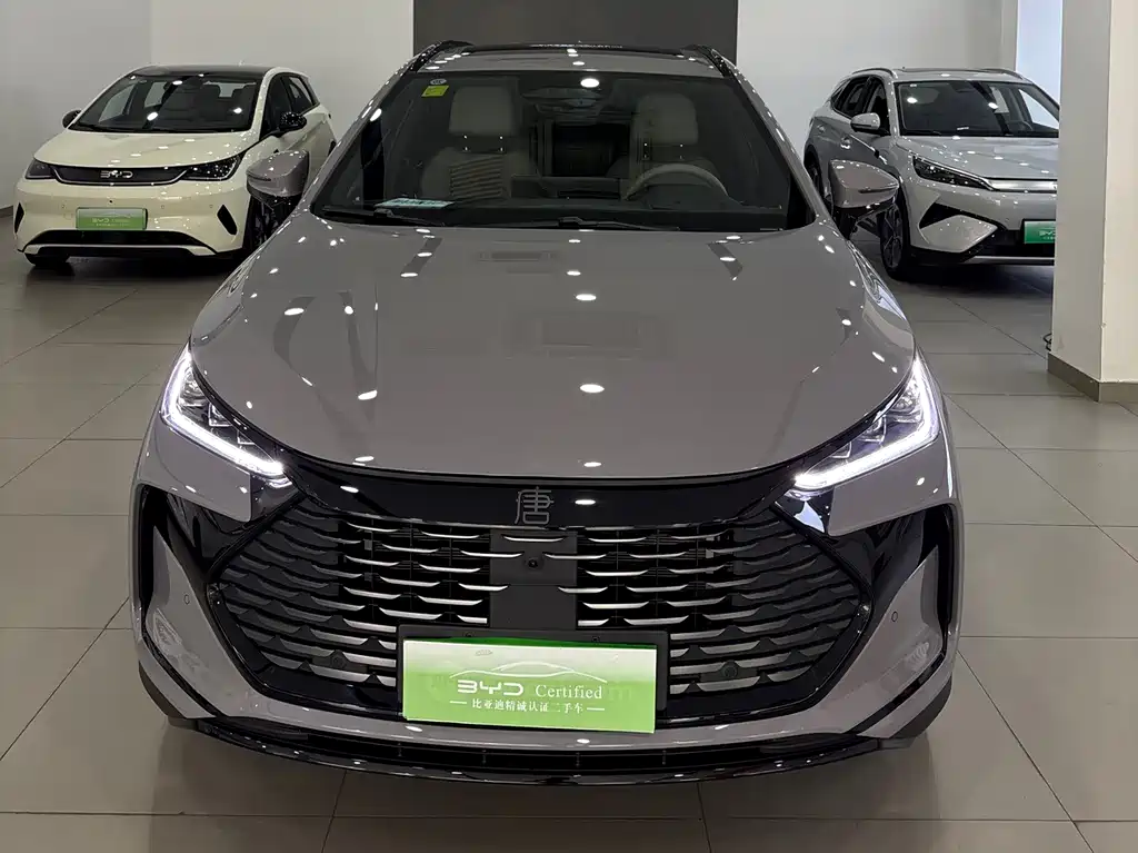 Tang New Energy 2025 Intelligent Driving Edition DM-i 115KM Flagship
