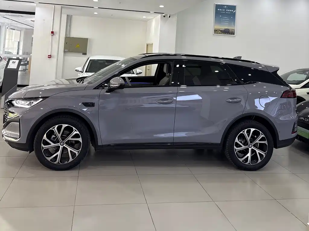 Tang New Energy 2025 Intelligent Driving Edition DM-i 115KM Flagship