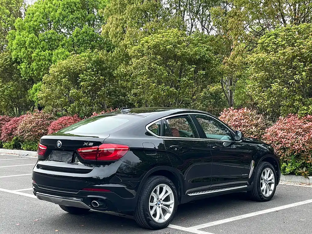 BMW X6 2017 xDrive35i Leading Edition