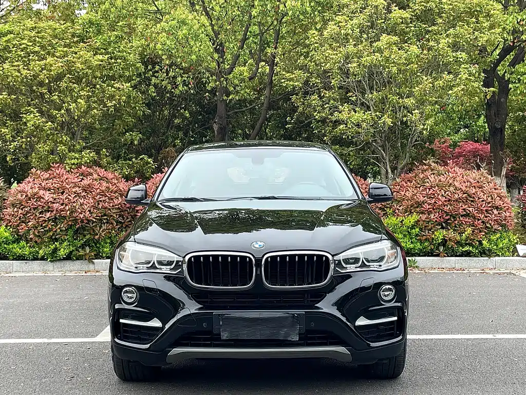 BMW X6 2017 xDrive35i Leading Edition