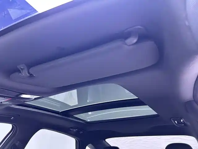Sonata 2020 380TGDi Automatic GLS Luxury Edition