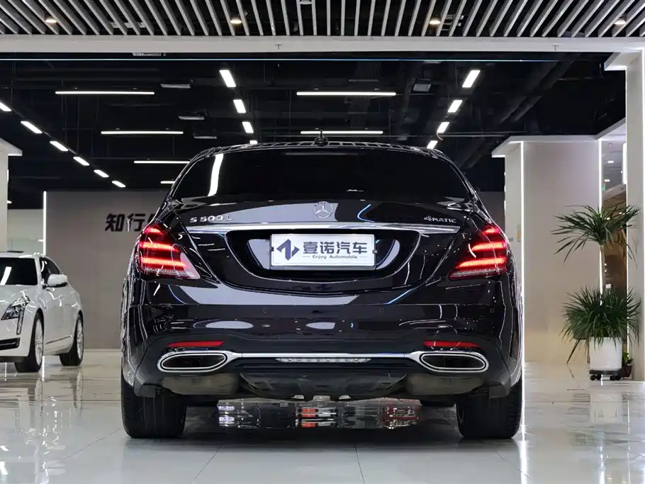 Mercedes-Benz S-Class 2020 S 450 L 4MATIC Zhenzang Edition