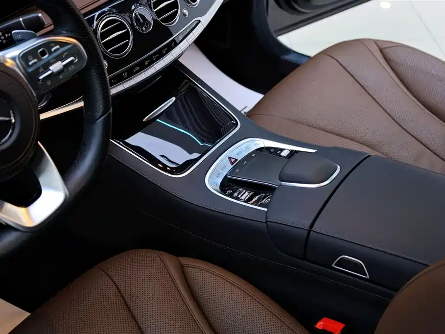 Mercedes-Benz S-Class 2020 S 450 L 4MATIC Zhenzang Edition