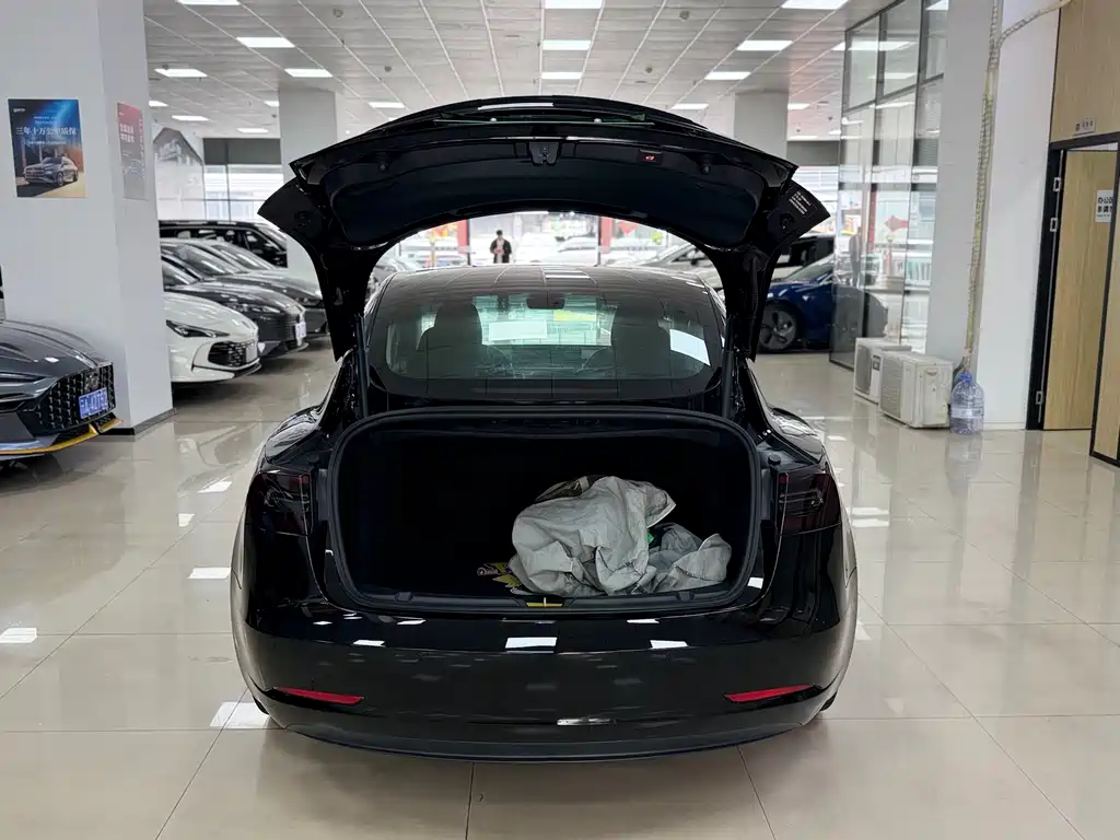 Tesla Model 3 2020 Standard Range Plus