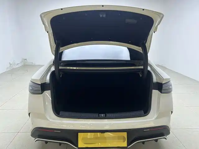 Seal 06 2024 DM-i 120KM Flagship