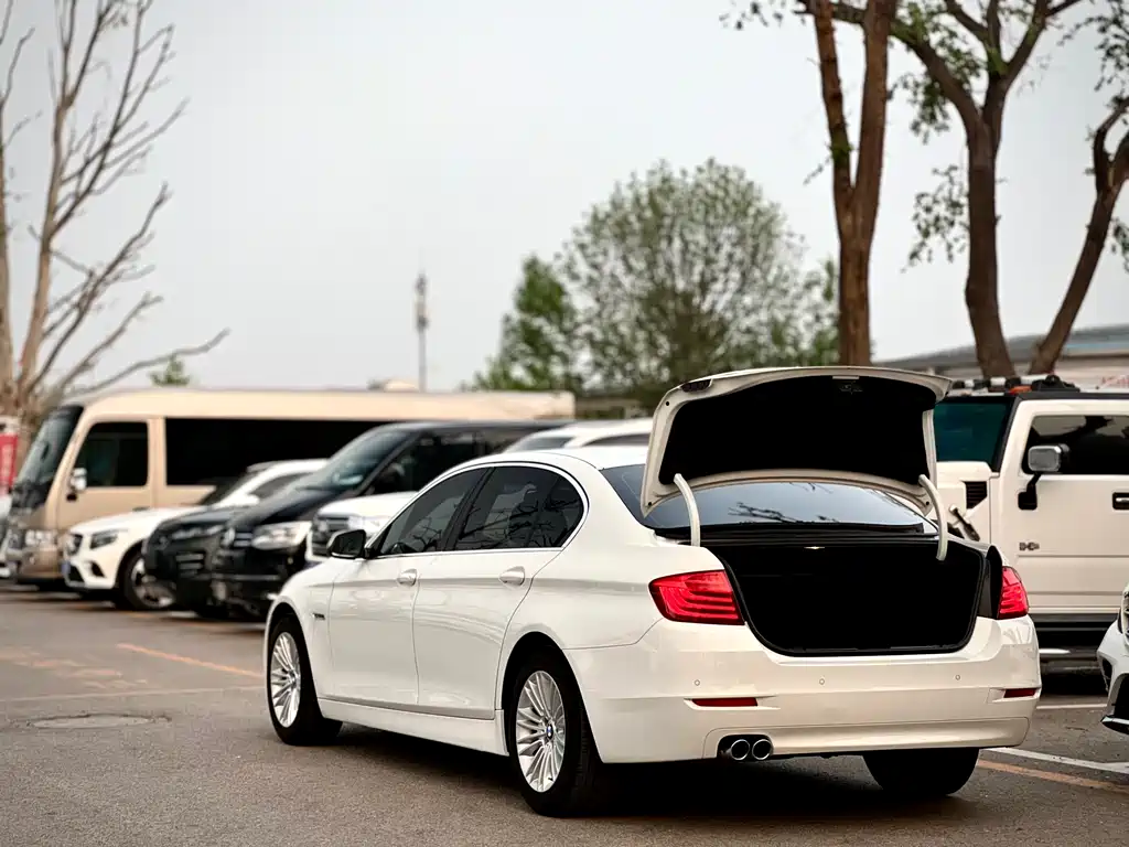 BMW 5 Series 2014 525Li xDrive Luxury Line