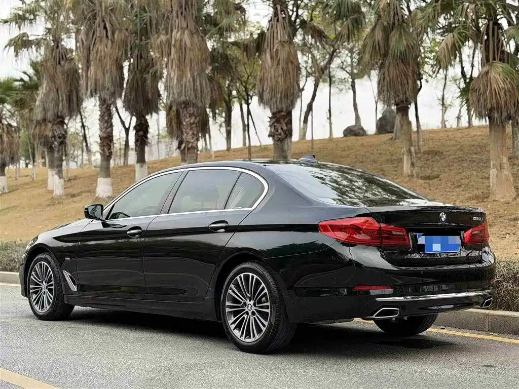 BMW 5 Series 2018 530Li Executive Luxury Edition