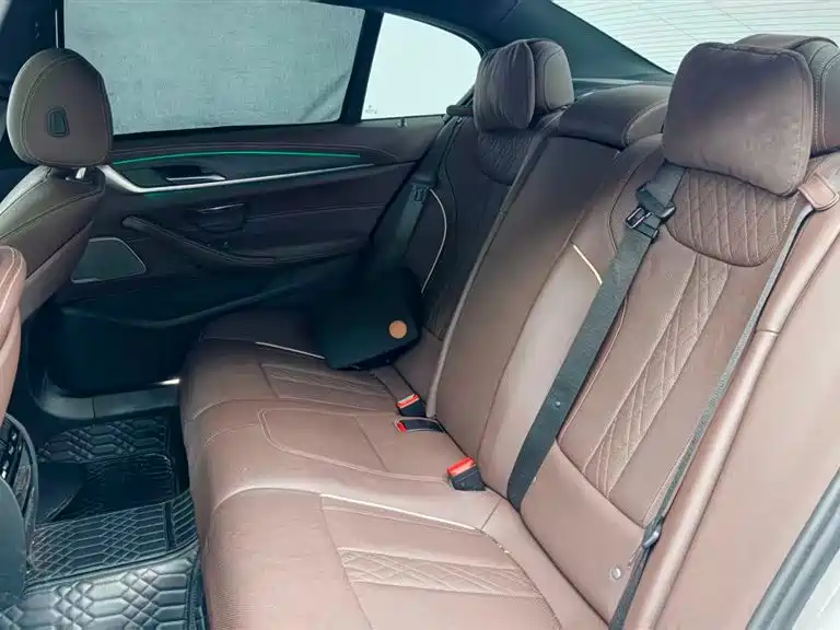 BMW 5 Series 2021 530Li Leading Edition M Sport Package