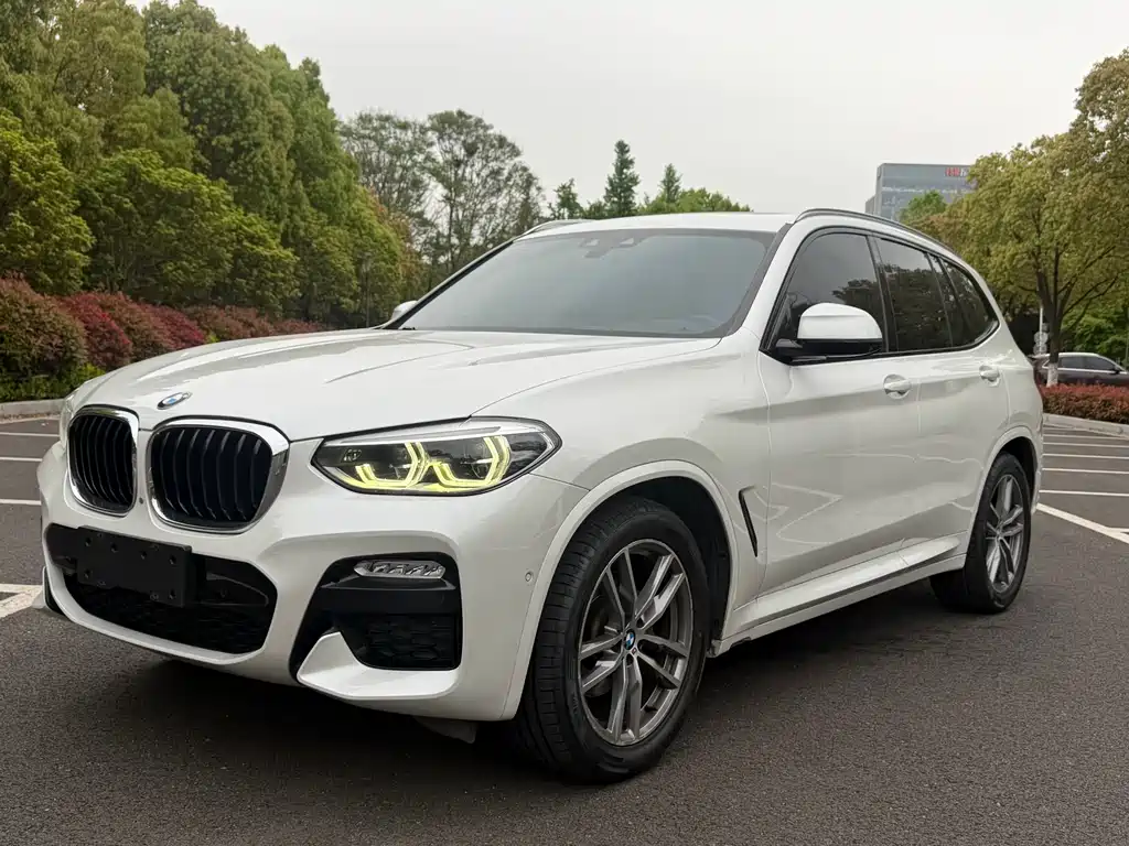BMW X3 2018 xDrive30i Leading Edition M Sport Package China V