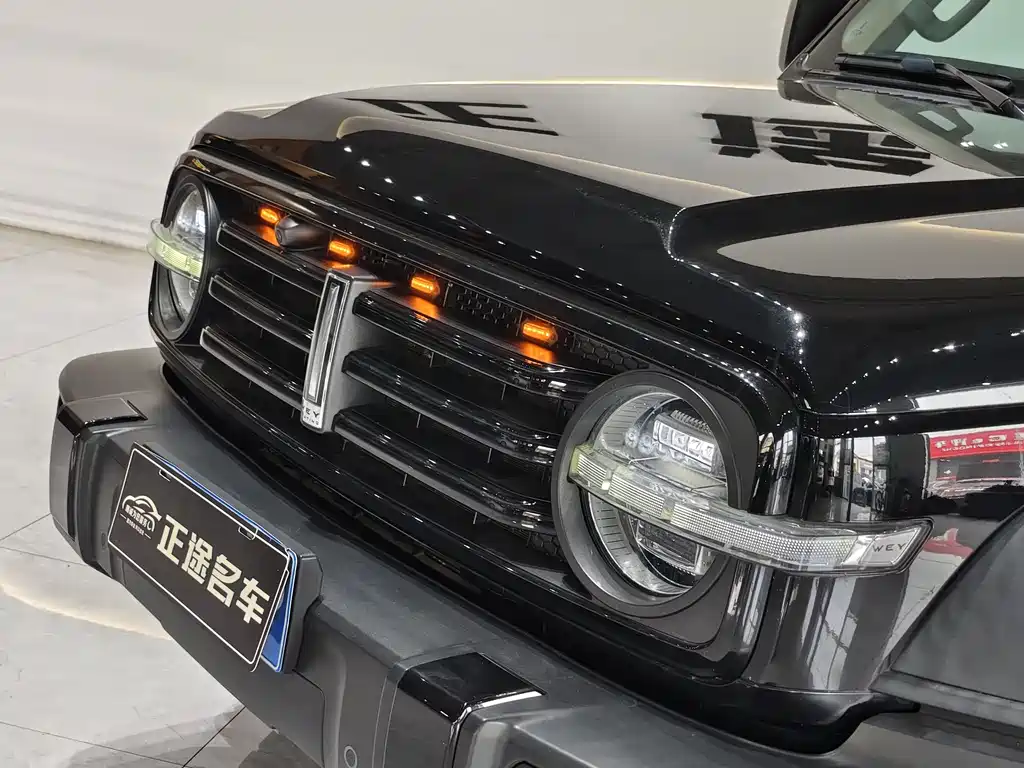 Tank 300 2021 Off-Road Edition 2.0T Conqueror