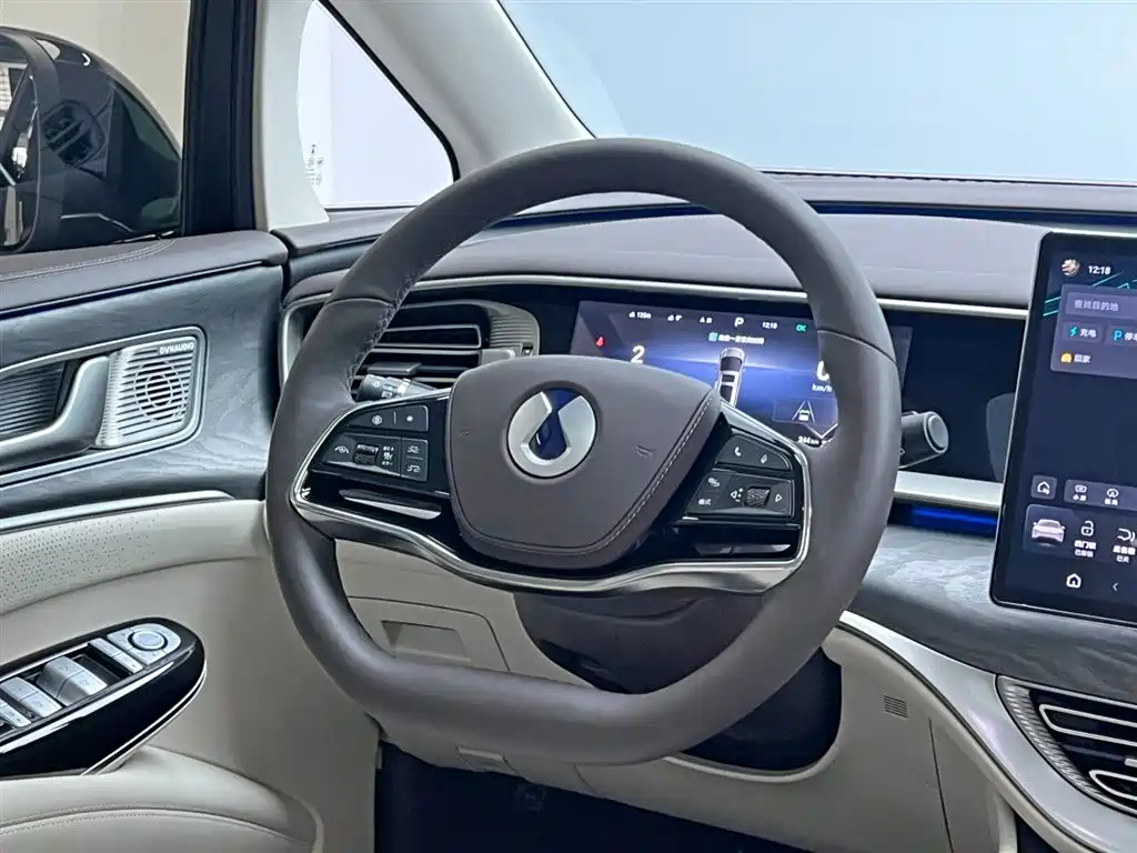 Denza D9 2024 DM-i 980 AWD Deluxe