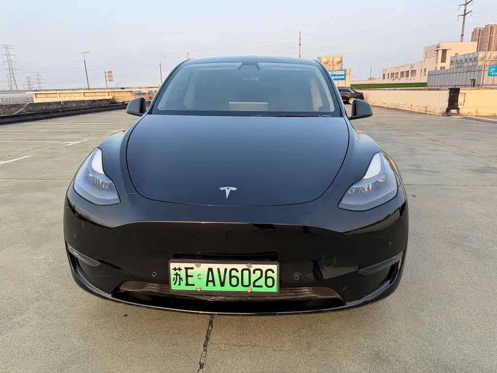 Model Y 2021 Standard Range RWD