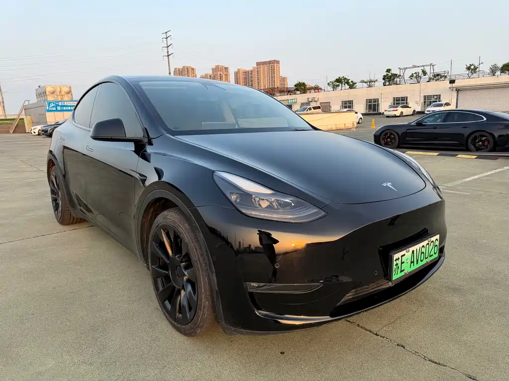 Model Y 2021 Standard Range RWD