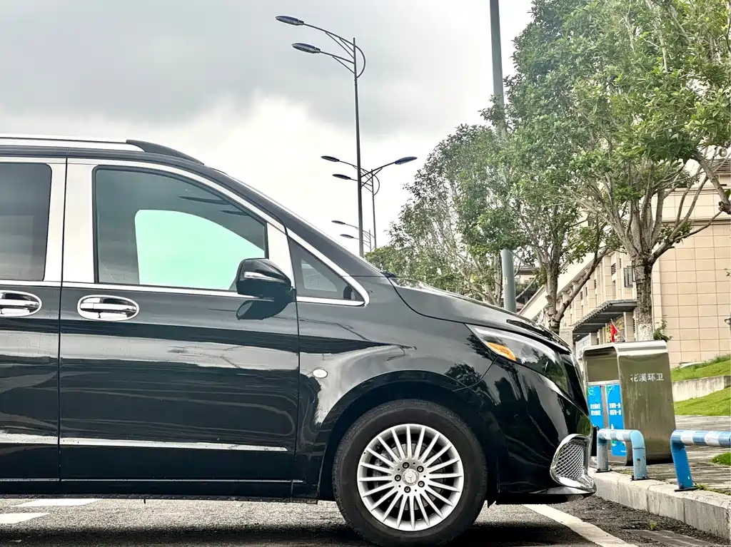 Vito 2018 2.0T Business Edition China V