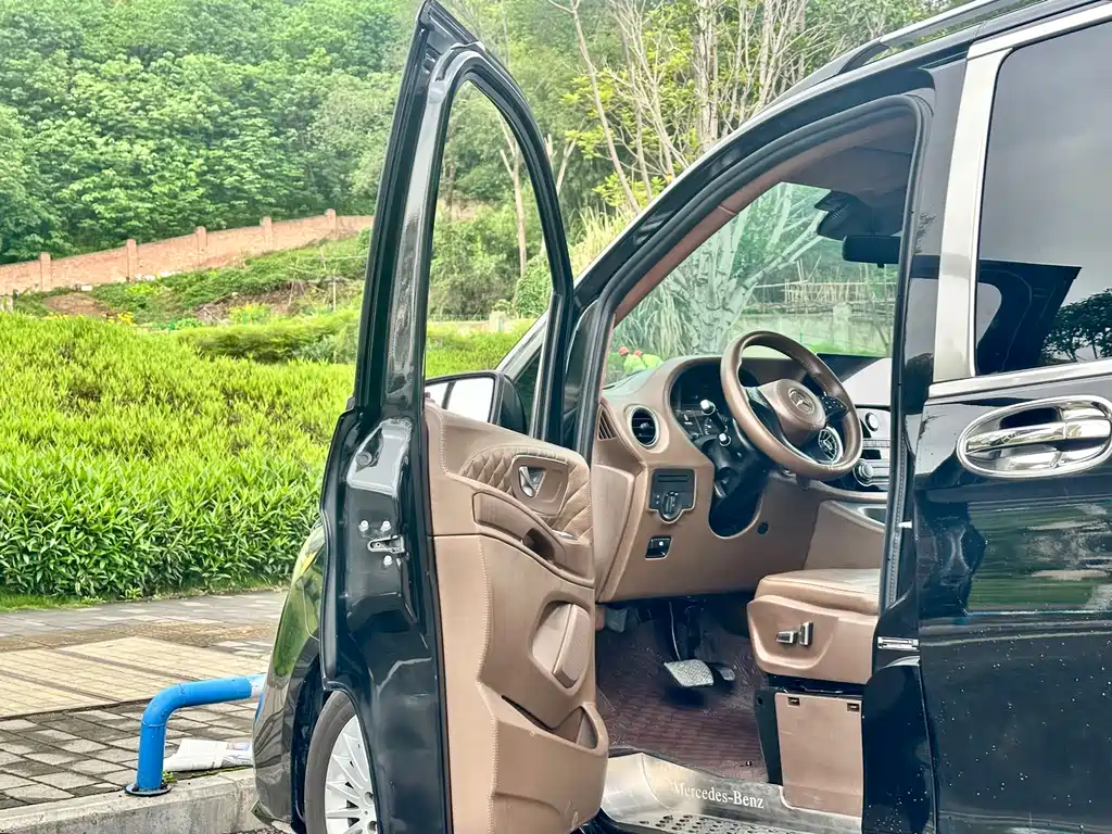 Vito 2018 2.0T Business Edition China V