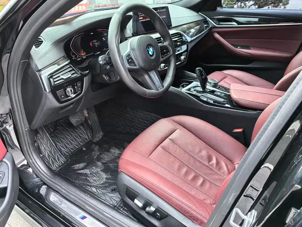 BMW 5 Series 2020 530Li Luxury M Sport Package