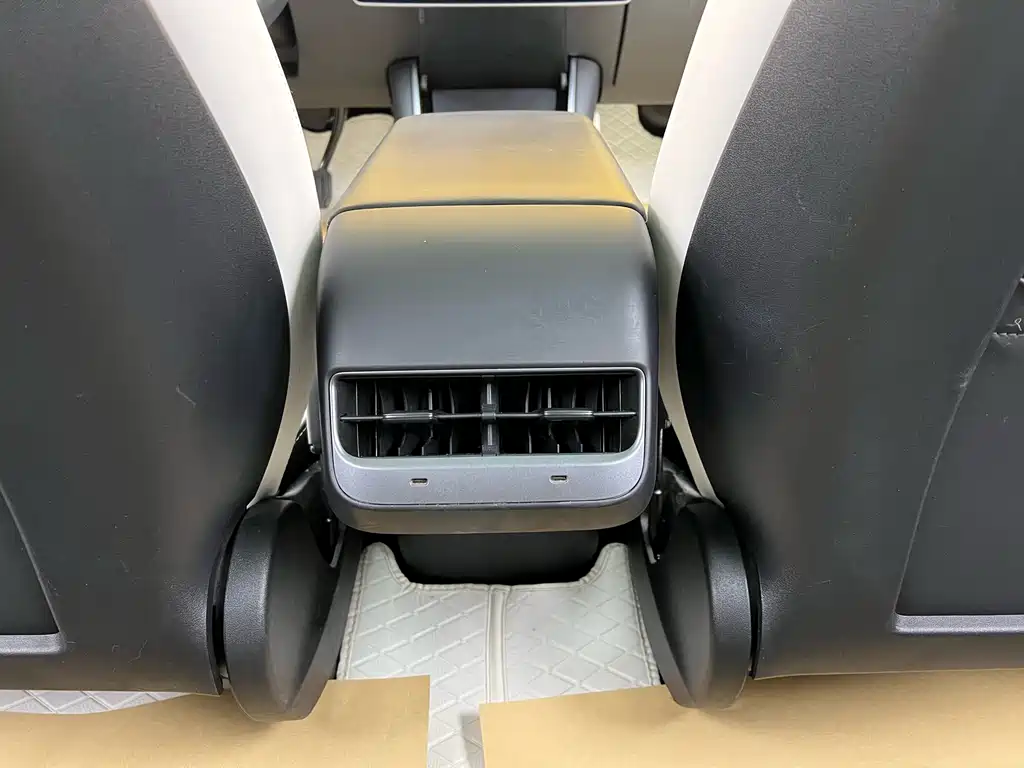 Model 3 2020 Standard Range Plus RWD
