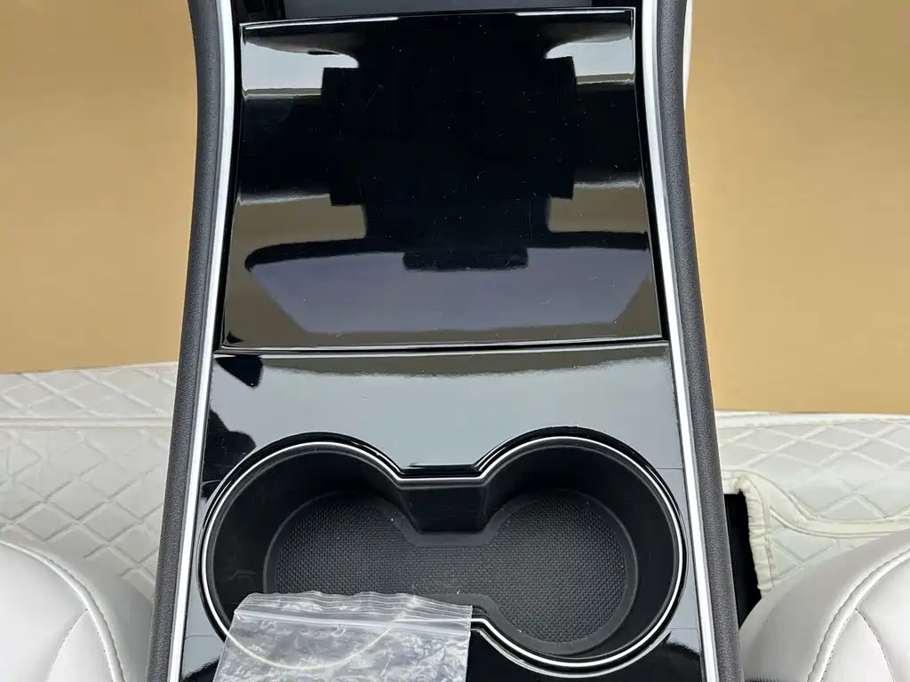 Model 3 2020 Standard Range Plus RWD