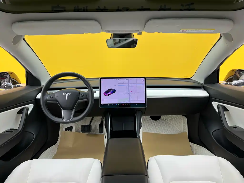 Model 3 2020 Standard Range Plus RWD