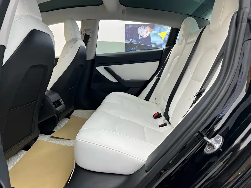 Model 3 2020 Standard Range Plus RWD