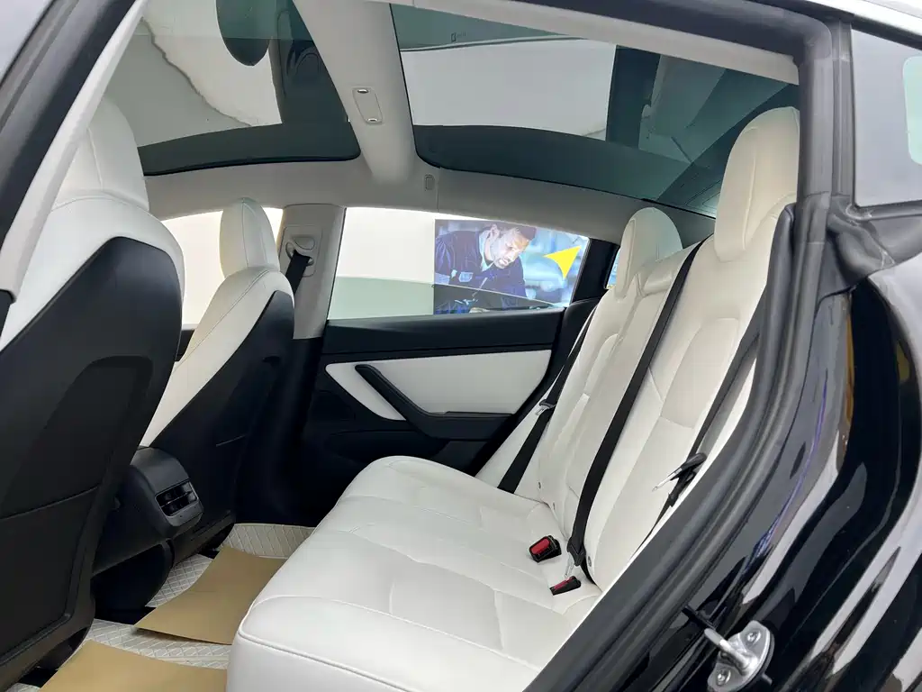 Model 3 2020 Standard Range Plus RWD