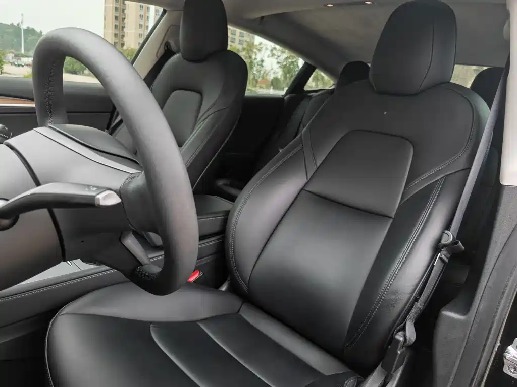 Tesla Model 3 2022 Rear-Wheel Drive
