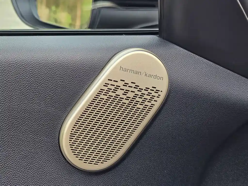 MINI ACEMAN 2025 SE Artist