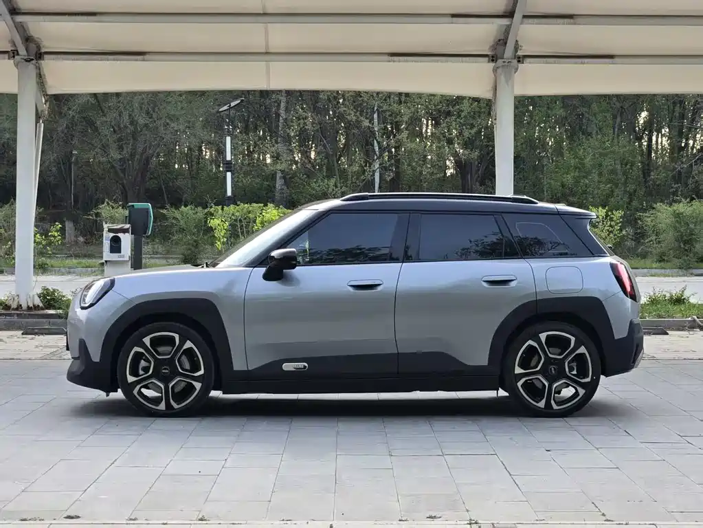 MINI ACEMAN 2025 SE Artist
