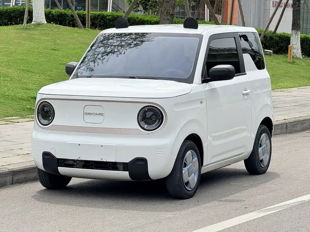 Panda 2023 Panda mini 200km Endurance Bear