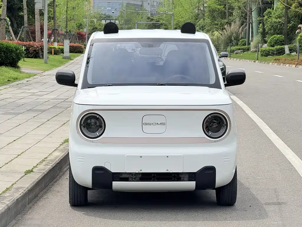 Panda 2023 Panda mini 200km Endurance Bear