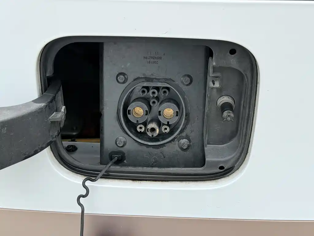 Panda 2023 Panda mini 200km Endurance Bear