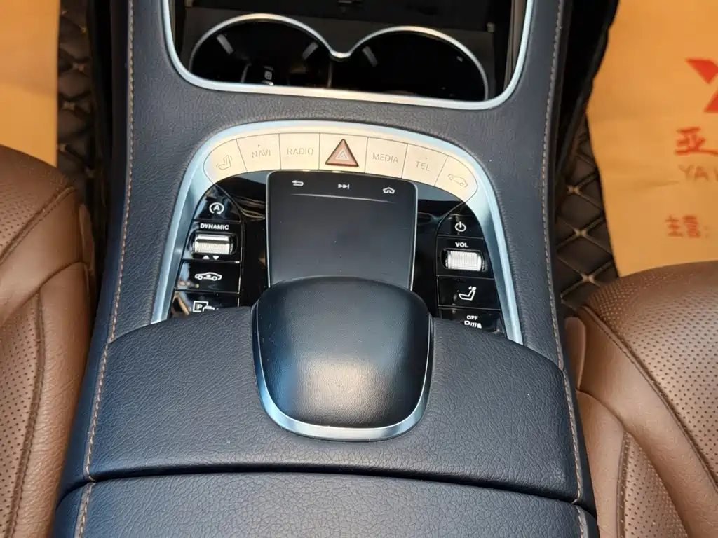 Mercedes-Benz S-Class 2020 S 450 L 4MATIC Zhenzang Edition