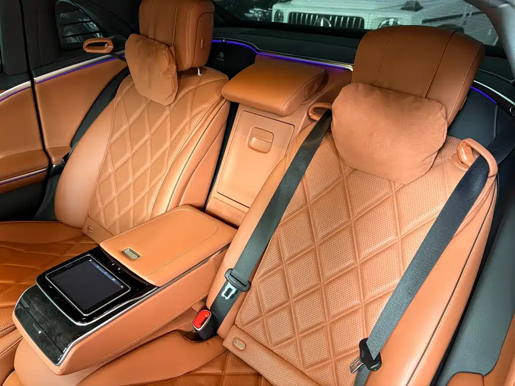 Mercedes-Maybach S-Class 2022 S 480 4MATIC Zhizhen Special Edition