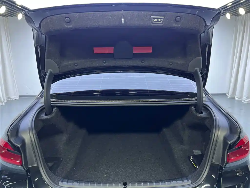 BMW 5 Series 2021 530Li xDrive Luxury Line