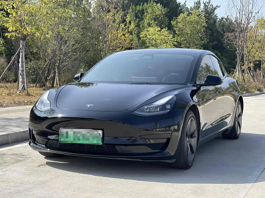 Tesla Model 3 2021 Standard Range Plus RWD